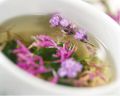Herbal Tea to treat insomnia