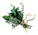 Herbal Remedies can help you sleep and better and cure insomnia